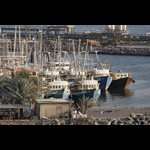 Trawler im Hafen von Kuwait